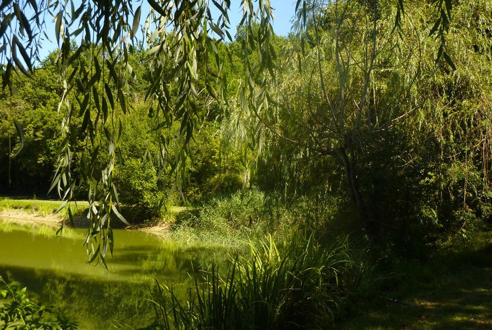 Het meer is gelegen in de Dordogne, niet ver van het dorp Le Bugue.